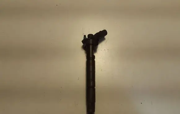 KIA Sorento Fuel injector 338002F000