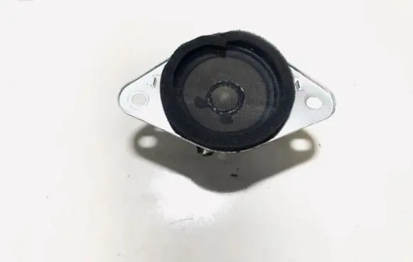 Front door speaker