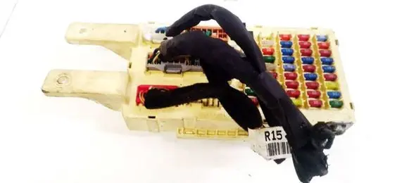 Hyundai Santa Fe Fuse box set 919502B20010