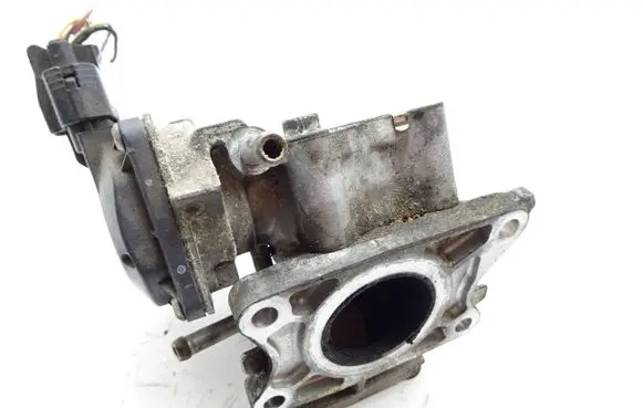 EGR valve