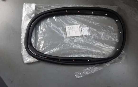 Opel Insignia A Rubber seal rear door 13454651
