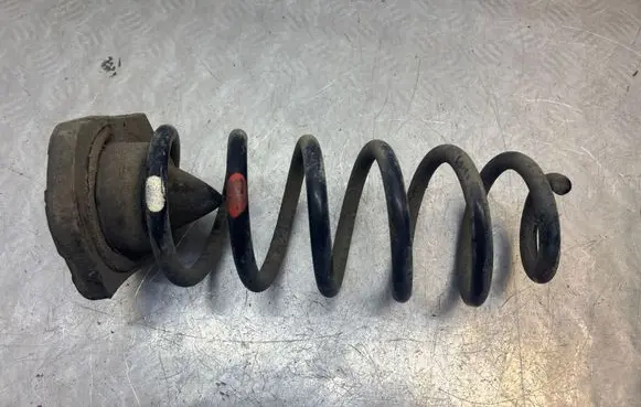 Nissan Qashqai Rear coil spring