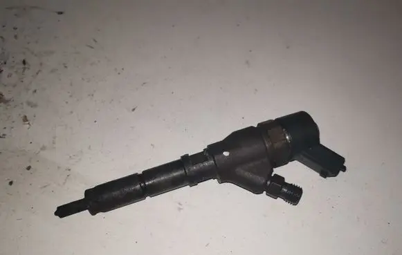 Citroen C5 Fuel injector 0445110008 9635196580