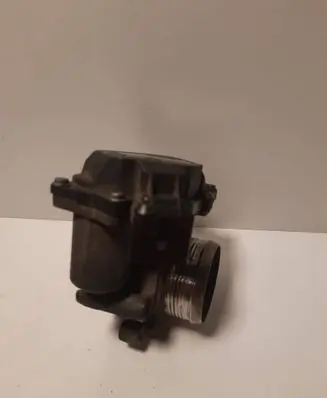 Volkswagen PASSAT B6 Throttle valve A2C83076000