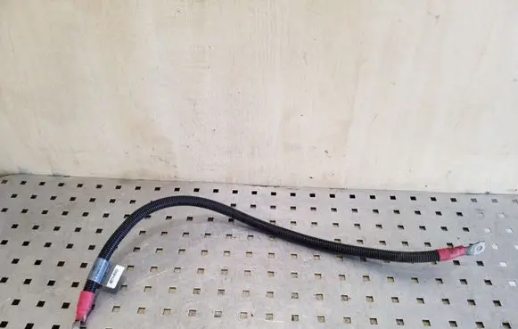 BMW X5 E53 Other wiring loom 779135201