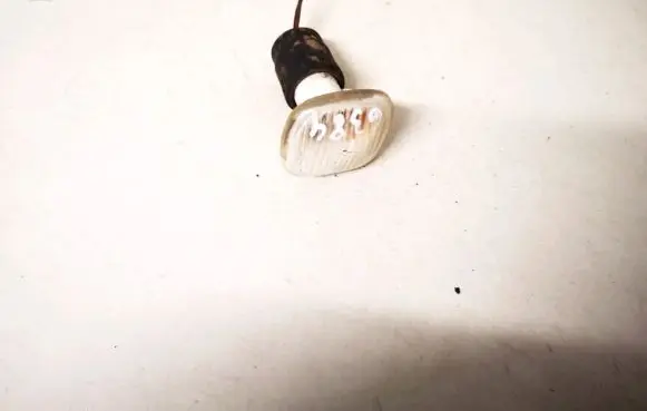 Front fender indicator light