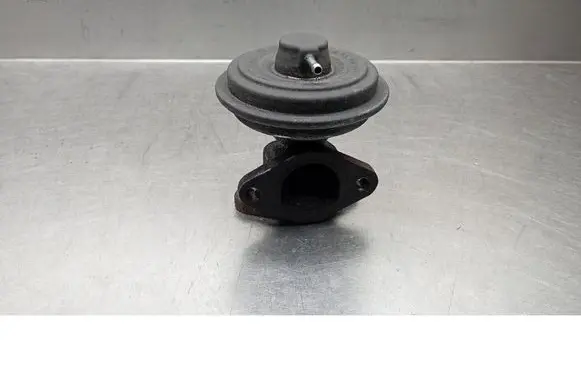 Chrysler Grand Voyager IV EGR valve 49002013F