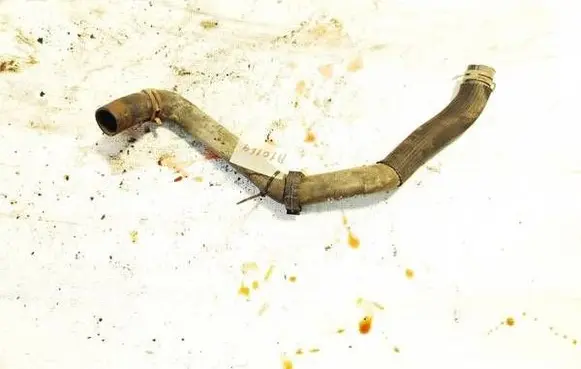 Citroen Berlingo Engine coolant pipe/hose