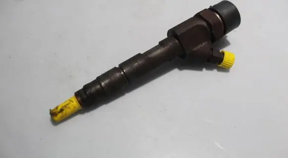 Renault Scenic II - Grand scenic II Fuel injector 0445110110