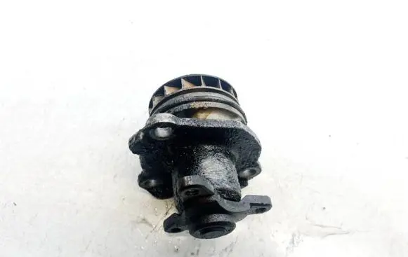 Renault Laguna III Water pump