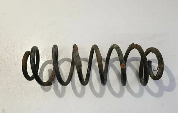 Rear coil spring