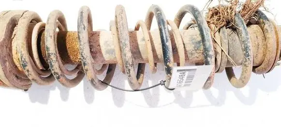 Rear coil spring