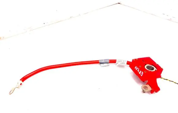BMW X1 E84 Positive cable (battery) 9217018 10304410