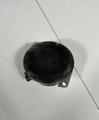 Panel speaker