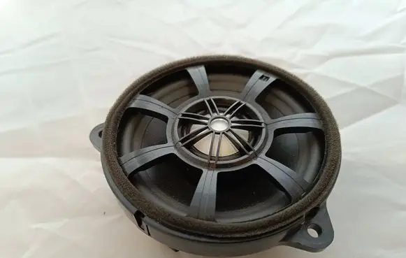 Rear door speaker