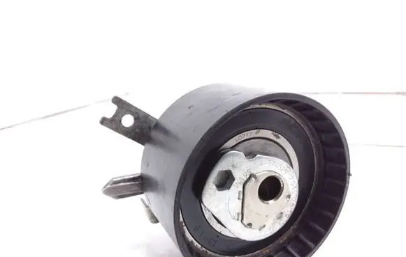 Renault Modus Belt tensioner pulley F574525