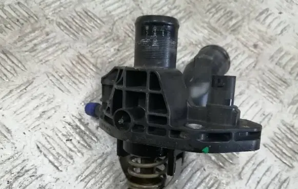 Thermostat/thermostat housing