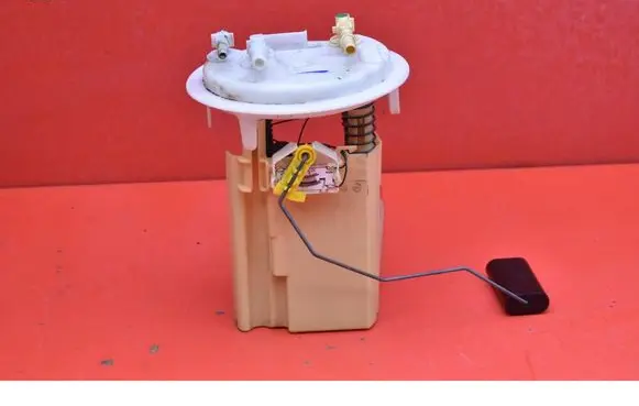 Citroen C5 In-tank fuel pump 