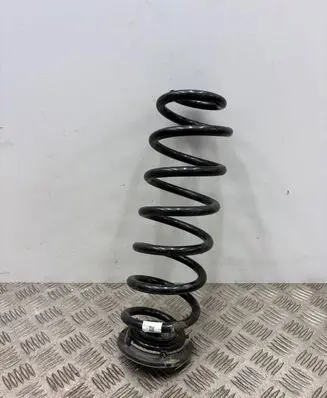 Volkswagen Tiguan Rear coil spring 5QS511103L