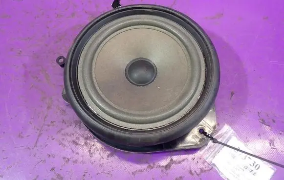Audi A4 S4 B7 8E 8H Front door speaker 