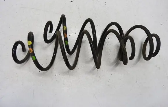 Rear coil spring