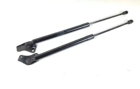 Tailgate strut