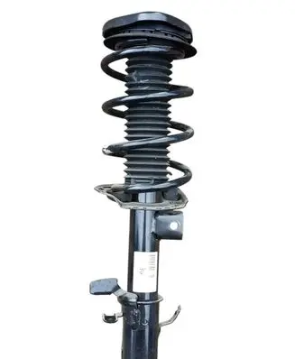 Ford Kuga III Front shock absorber with coil spring LX6118045SAE