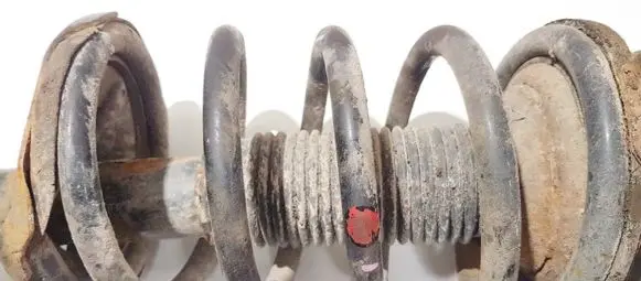 KIA Carnival Front coil spring