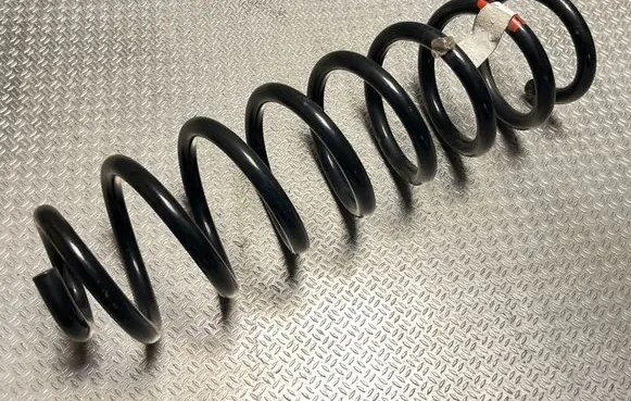 Rear coil spring
