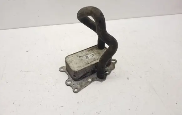 Chevrolet Captiva Oil filter mounting bracket 96868256