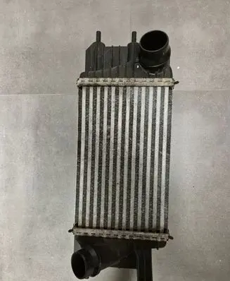 Nissan Juke I F15 Intercooler radiator 144611KB2A CY178005