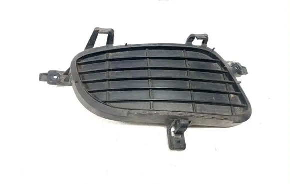 Mercedes-Benz A W169 Front bumper lower grill 1698850222