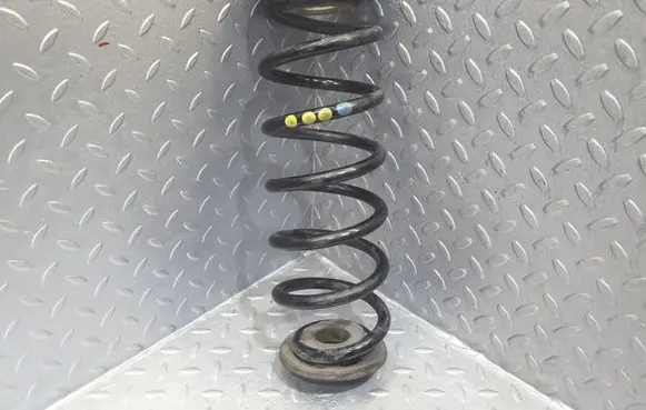 Skoda Superb B6 (3T) Rear coil spring 1K0511115BT