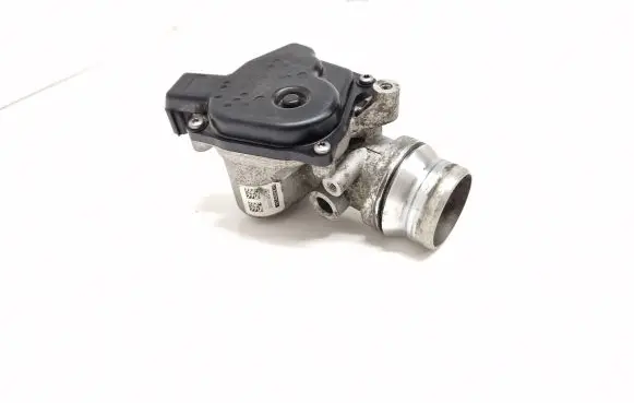 Renault Megane IV Throttle valve 161A09287R 300708413