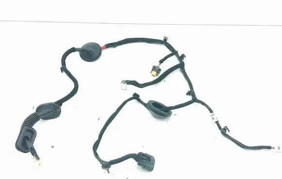 KIA Niro Rear door wiring loom 91630G5020
