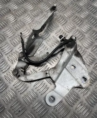 BMW X1 E84 Engine bonnet/hood hinges 2990359 L303