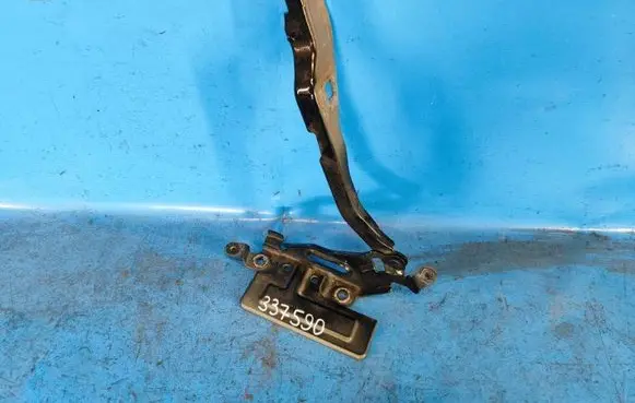 Ford Expedition Engine bonnet/hood hinges JL1Z16797A