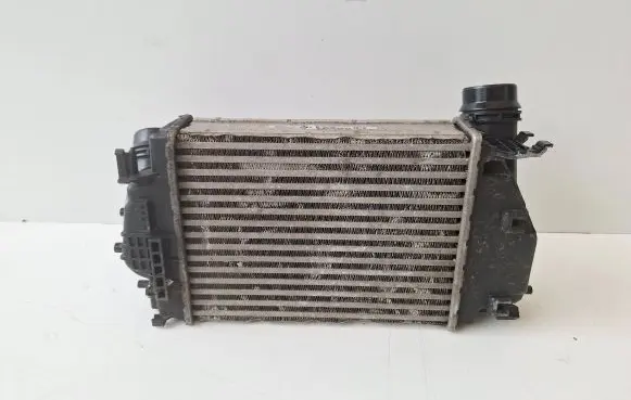 Renault Kadjar Intercooler radiator 14461-4EB0A