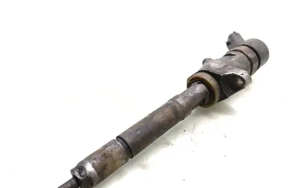 Ford Focus C-MAX Fuel injector 0445110239