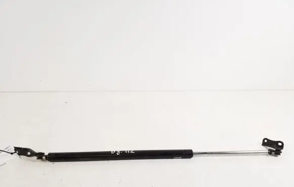 Toyota Previa (XR30, XR40) II Tailgate strut 68950-28220