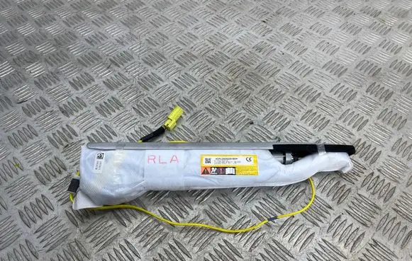 Toyota RAV 4 (XA50) Seat airbag TG16C01006 DA1262620VBX