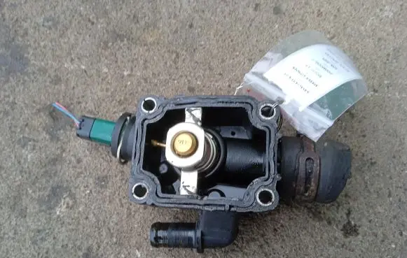 Citroen C3 Thermostat/thermostat housing