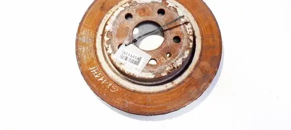 Opel Insignia A Rear brake disc VENTILIUOJAMAS