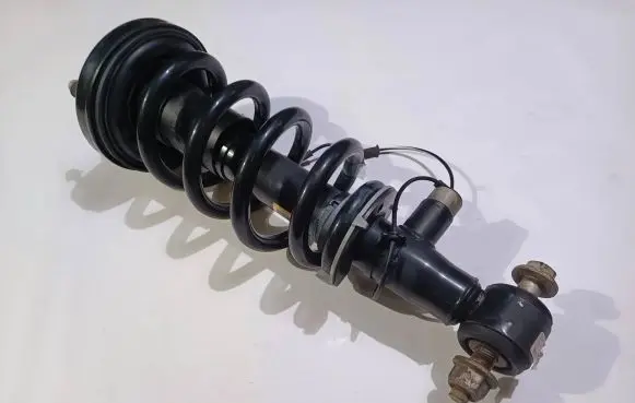 Ford Expedition Rear shock absorber with coil spring JL14-18B063-EE