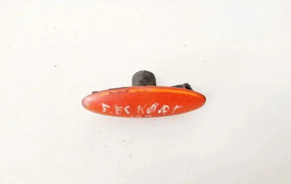 Front fender indicator light
