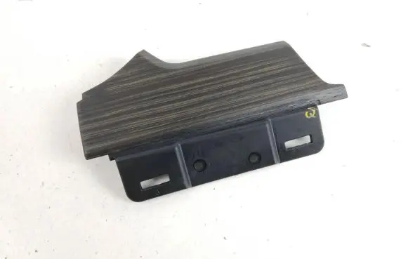 Tesla Model S Panel trim 100783100B