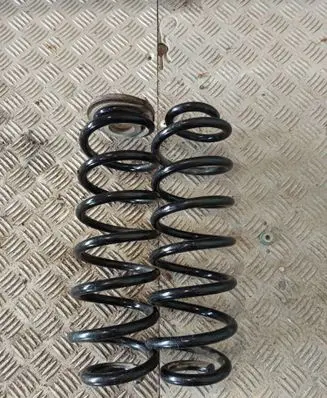 Rear coil spring