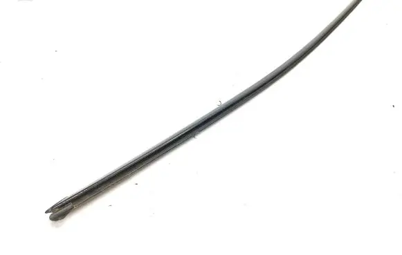 Front door glass trim molding