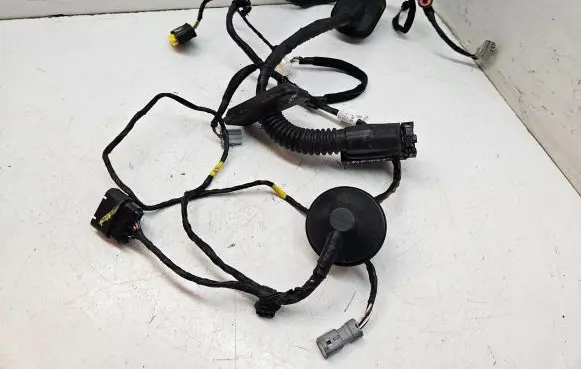 Front door wiring loom