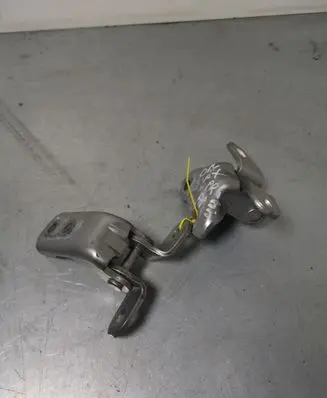 Lexus NX Front door hinge set A0466941R